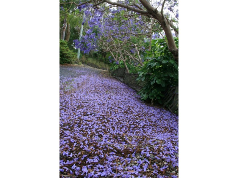 94 Gatelys Road, Coffs Harbour NSW 2450