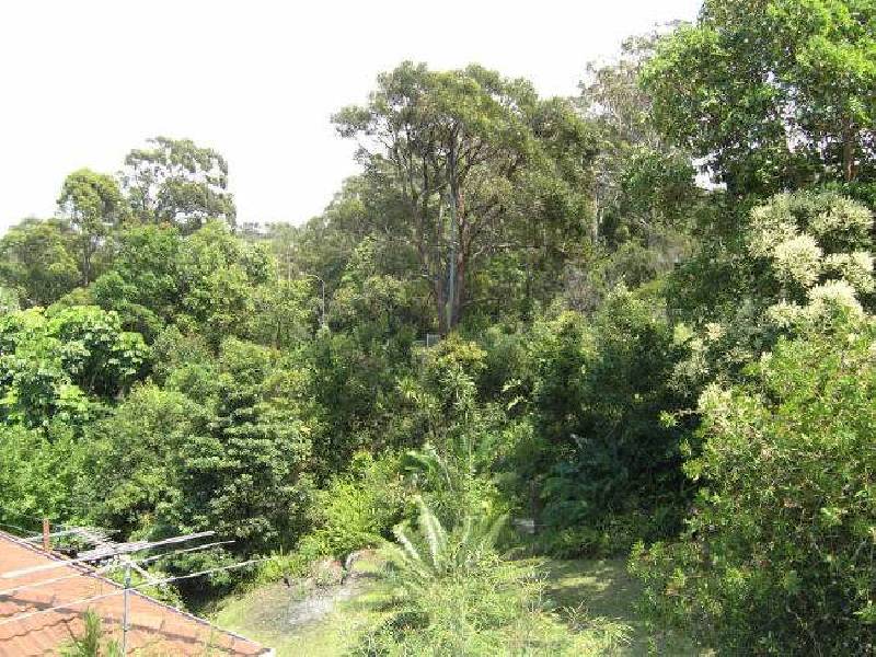 3 Nepean Close, Coffs Harbour NSW 2450
