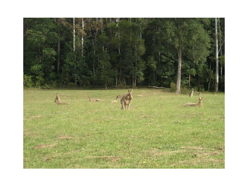 Lot 94 Palm Grove Place, Moonee Beach NSW 2450