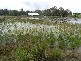 Lot 94 Palm Grove Place, Moonee Beach NSW 2450