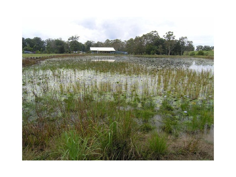 Lot 94 Palm Grove Place, Moonee Beach NSW 2450