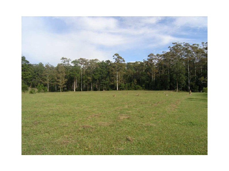 Lot 94 Palm Grove Place, Moonee Beach NSW 2450