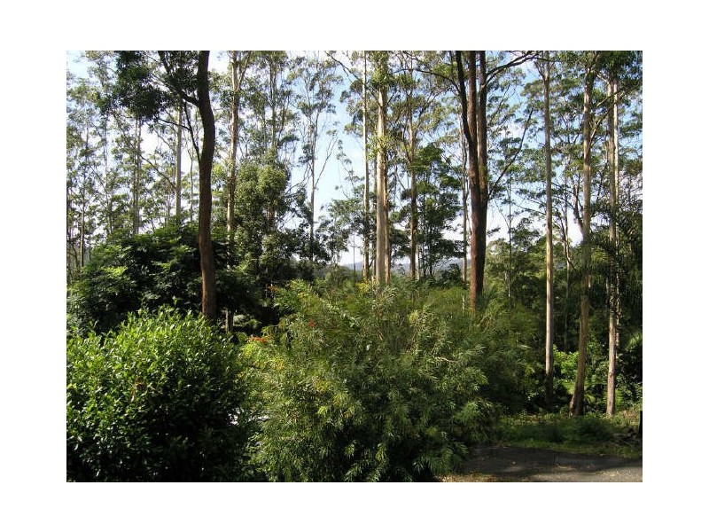 91 Poperaperan Creek Road, Karangi NSW 2450