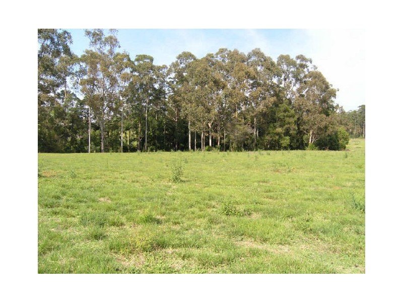 Lot 91 Palm Grove Place, Moonee Beach NSW 2450