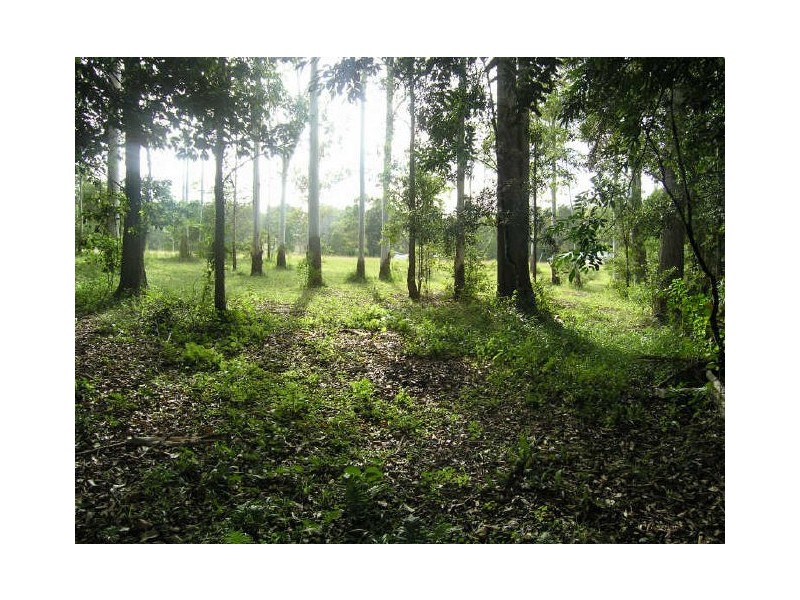 Lot 91 Palm Grove Place, Moonee Beach NSW 2450