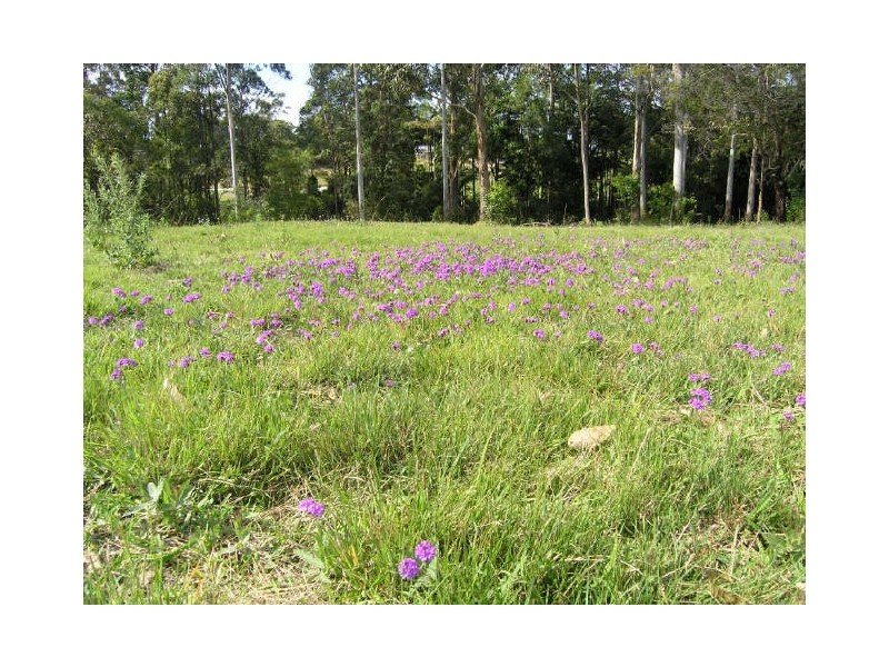 Lot 91 Palm Grove Place, Moonee Beach NSW 2450