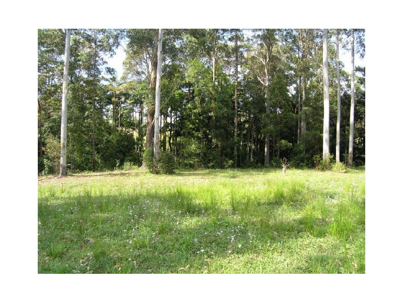 Lot 91 Palm Grove Place, Moonee Beach NSW 2450