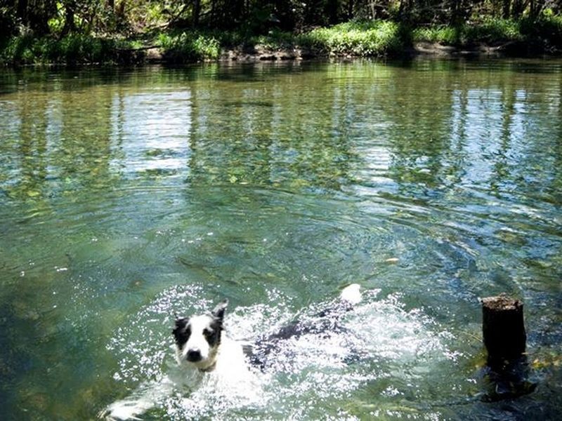 501 C Dairyville Road, Upper Orara NSW 2450