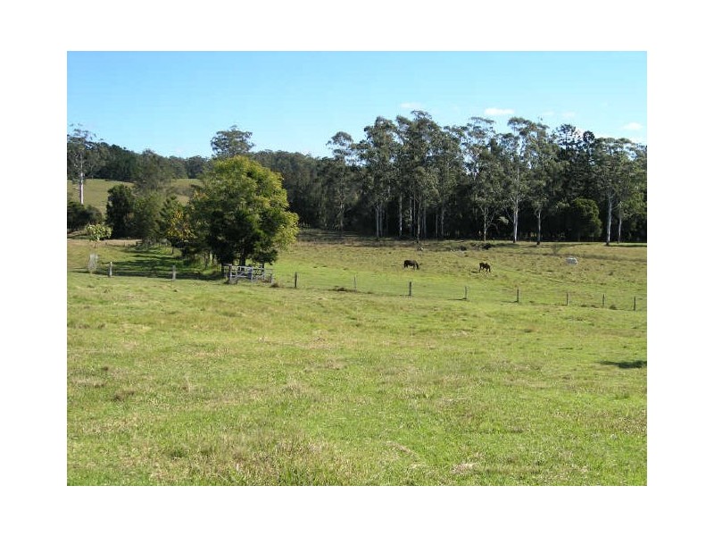 880 South Arm Road, Urunga NSW 2455