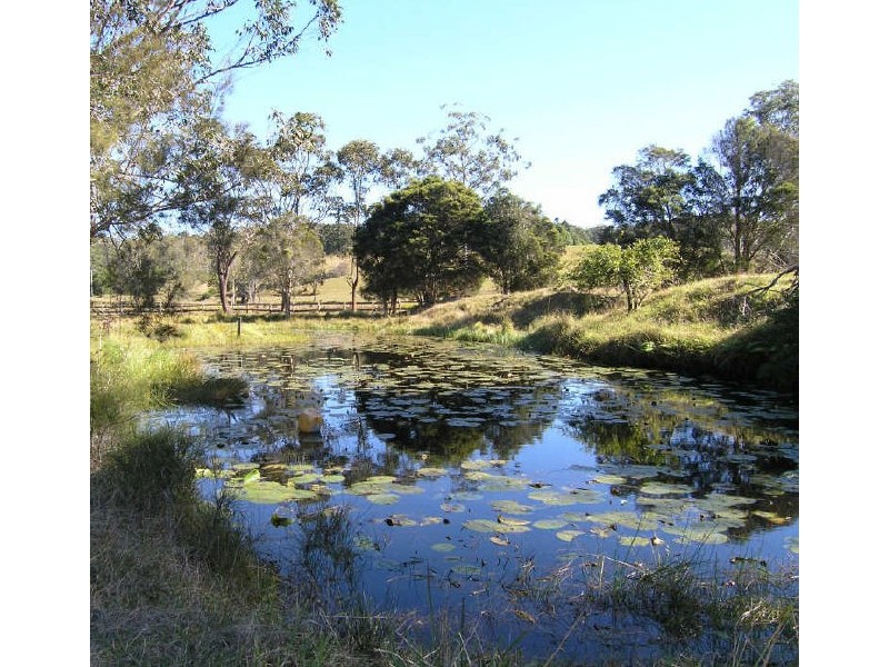 880 South Arm Road, Urunga NSW 2455