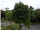 4/61 Azalea Avenue, Coffs Harbour NSW 2450