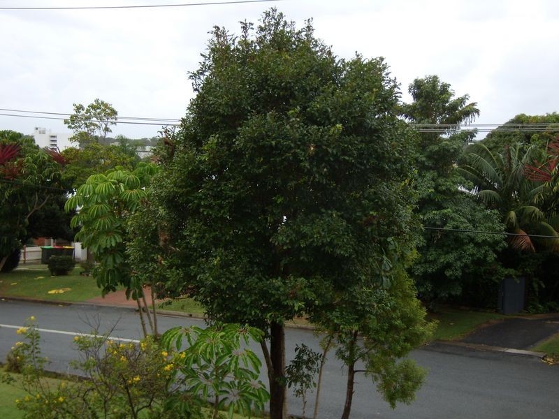 4/61 Azalea Avenue, Coffs Harbour NSW 2450