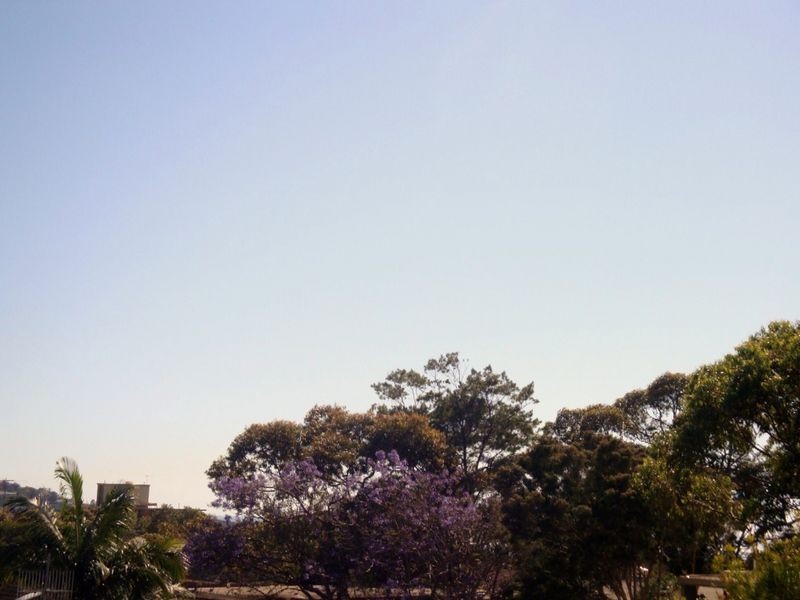 8/30 The Crescent, Dee Why NSW 2099