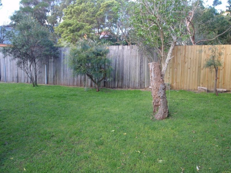 16 Daisy Street, Dee Why NSW 2099