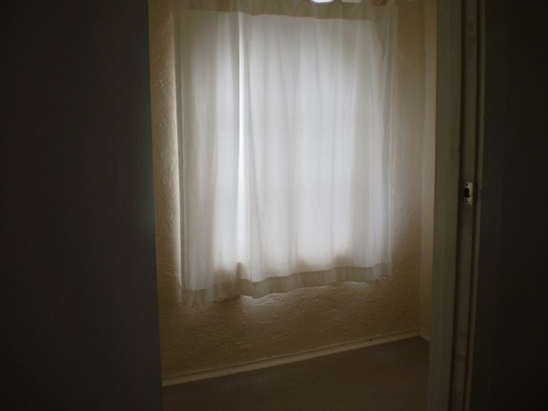 98 Wyadra Avenue, Freshwater NSW 2096