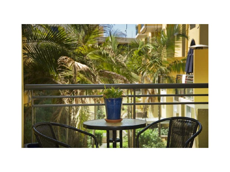 217/7 Mooramba Road, Dee Why NSW 2099