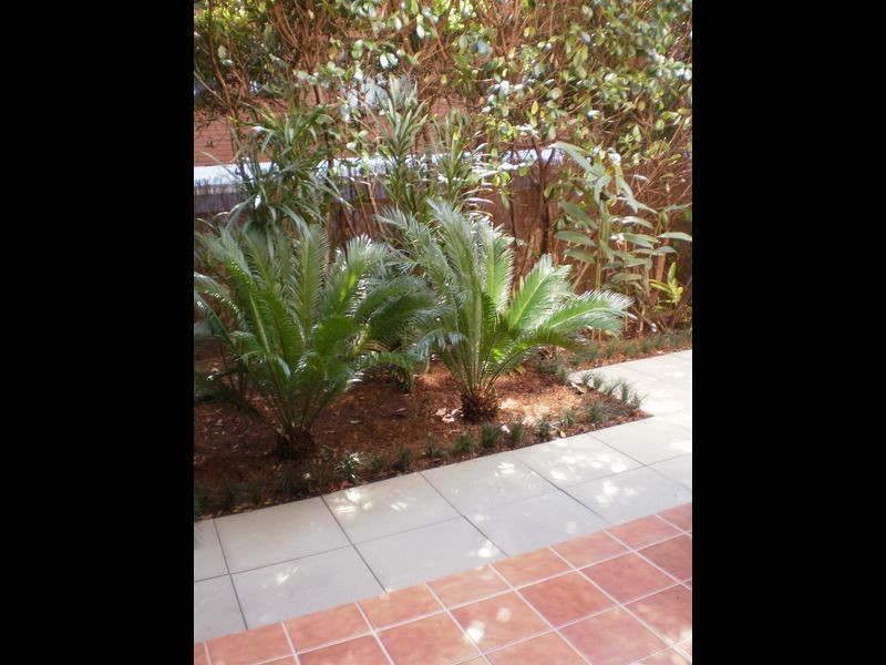 3/52-58 Howard Avenue, Dee Why NSW 2099