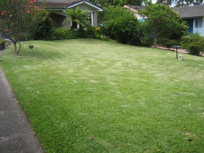 4 Grover Avenue, Cromer NSW 2099