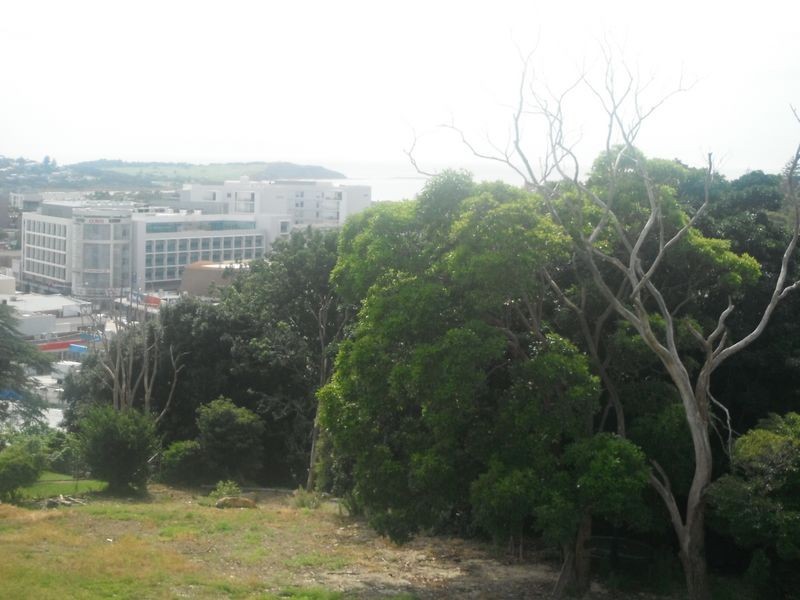 4 Moorilla Street, Dee Why NSW 2099