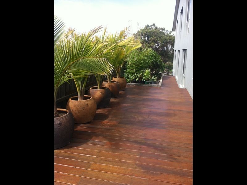 4 Moorilla Street, Dee Why NSW 2099