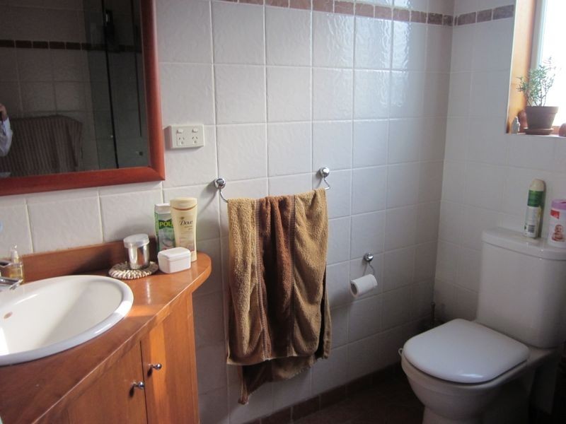 91 Bennett Street, Curl Curl NSW 2096
