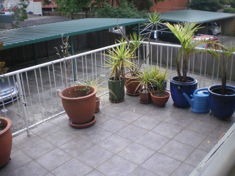 8/28 Clarence Avenue, Dee Why NSW 2099