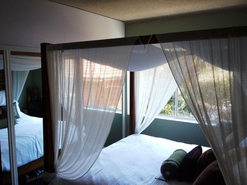 2/98 Howard Ave, Dee Why NSW 2099