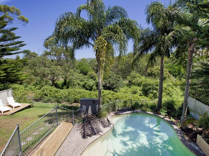 219 South Creek Road, Wheeler Heights NSW 2097