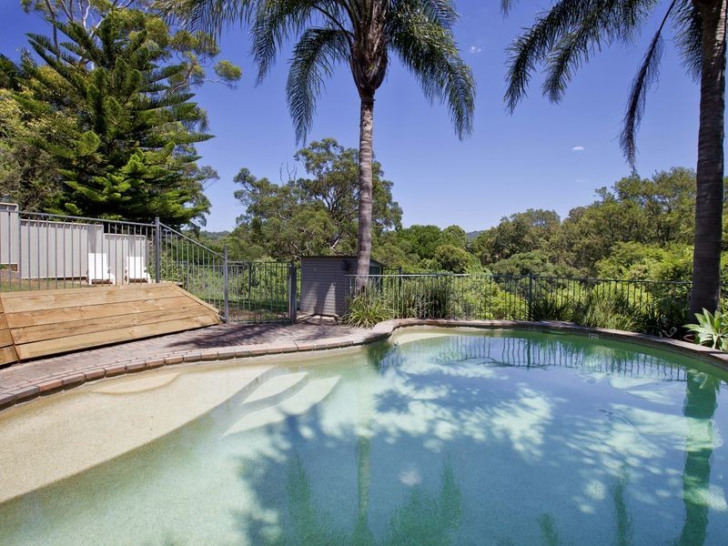 219 South Creek Road, Wheeler Heights NSW 2097
