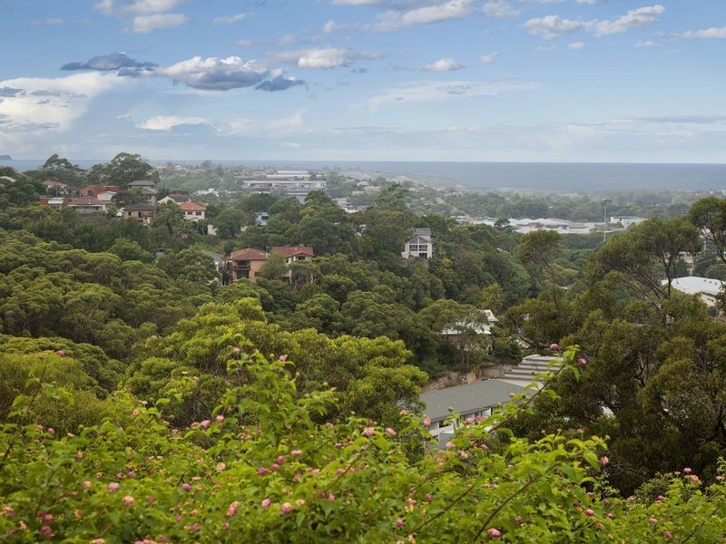 56A Consul Road North, Narraweena NSW 2099