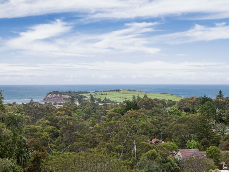 19 Plateau Road, Collaroy Plateau NSW 2097
