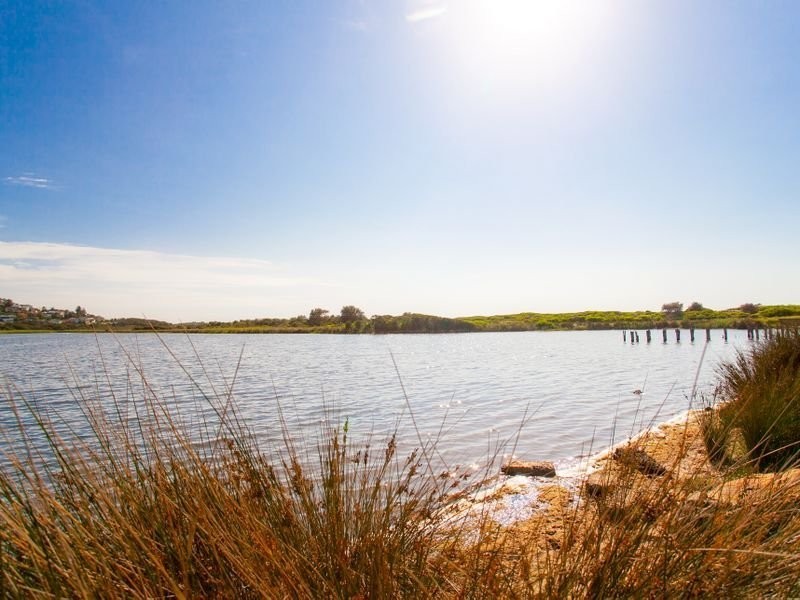 12/97-99 Oaks Avenue, Dee Why NSW 2099