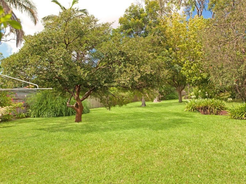 31 Oxford Falls Road, Beacon Hill NSW 2100