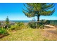 51 Quirk Street, Dee Why NSW 2099
