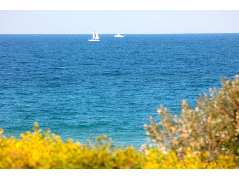 5/169 Ocean Street, Narrabeen NSW 2101