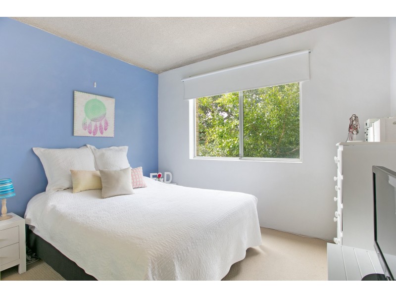 13/77 Pacific Parade, Dee Why NSW 2099