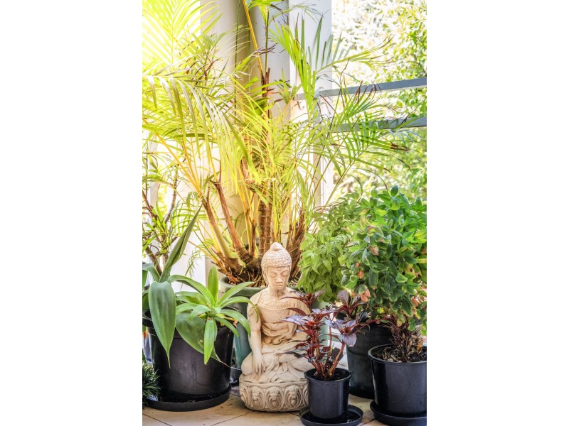 15/38-40 St Andrews, Elanora Heights NSW 2101