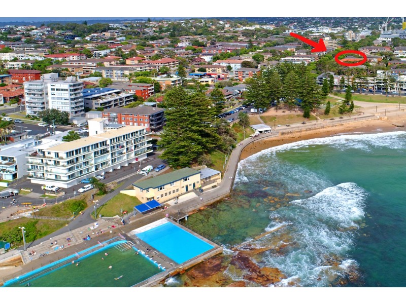 6/104 Oaks Avenue, Dee Why NSW 2099