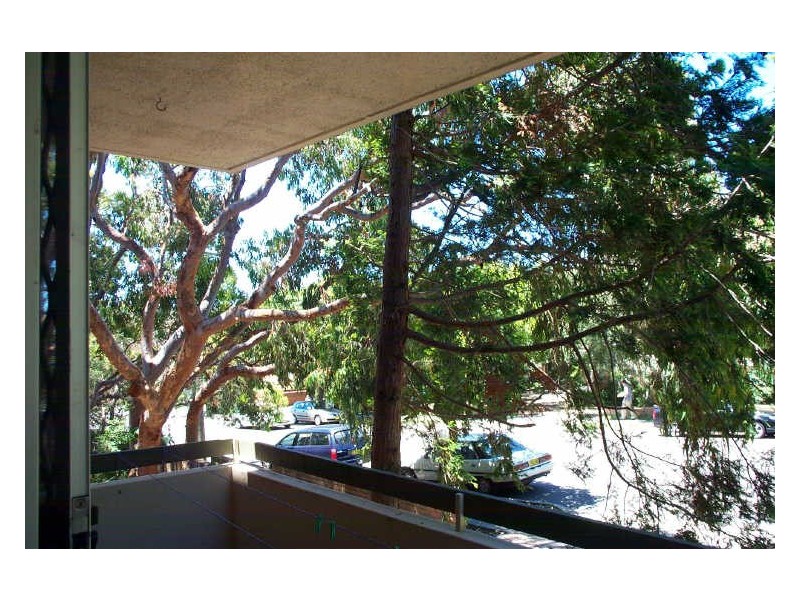17/82 Pacific Parade, Dee Why NSW 2099