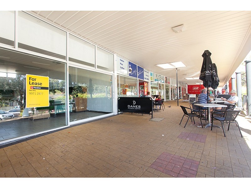 2/65 Veterans Parade, Collaroy Plateau NSW 2097