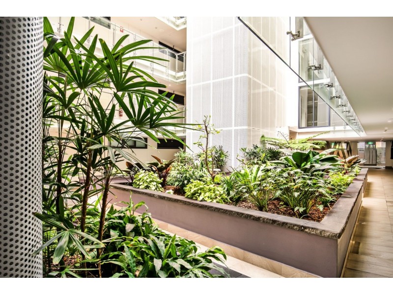 203/23 Pacific Parade, Dee Why NSW 2099