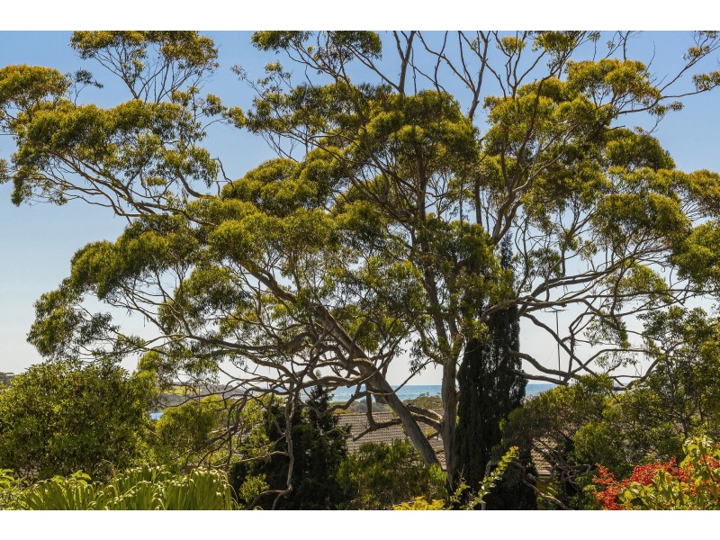 16/8 Westminster Avenue, Dee Why NSW 2099