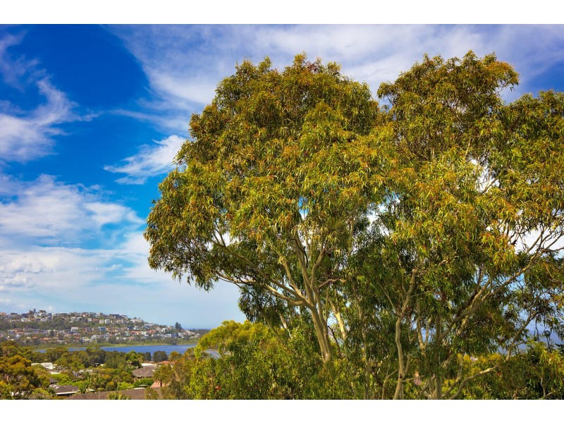 27/72-74 Pacific Parade, Dee Why NSW 2099