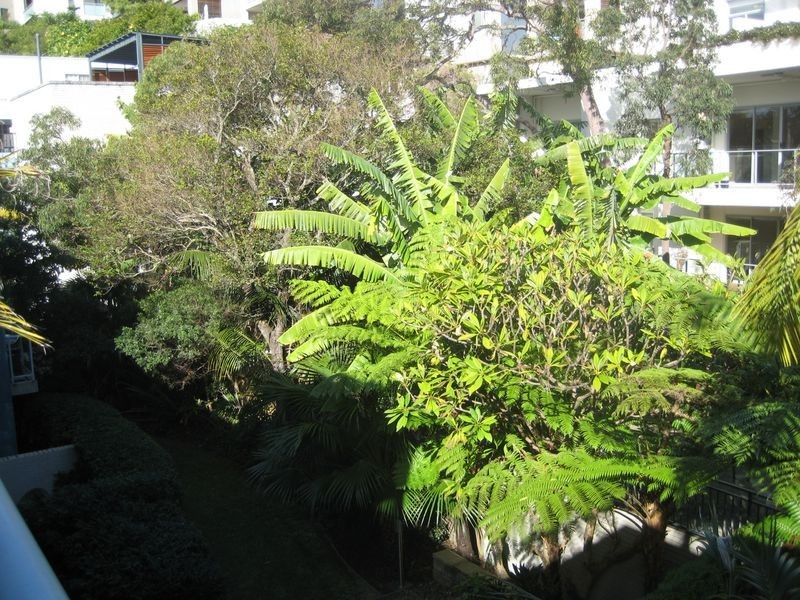 19/19-23 Sturdee Parade, Dee Why NSW 2099