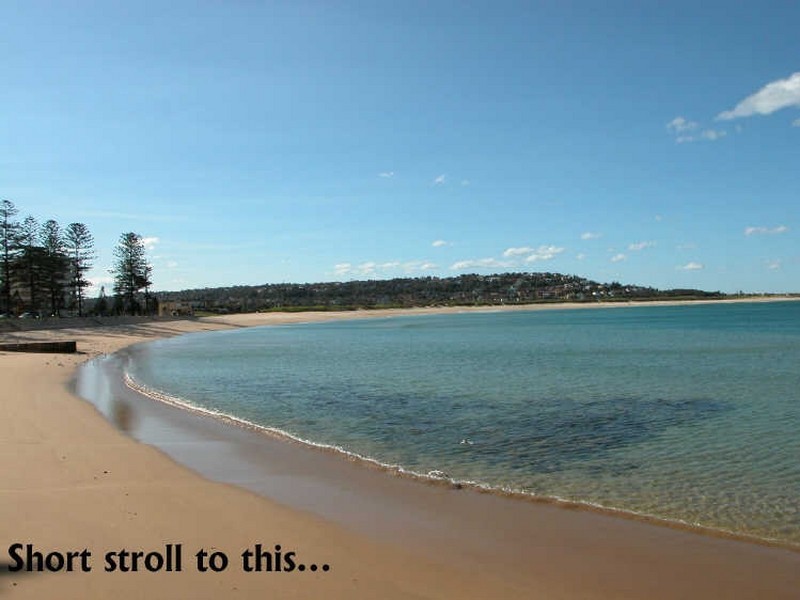 3/35 Oaks Avenue, Dee Why NSW 2099