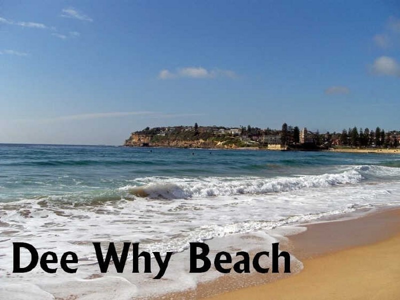 3/35 Oaks Avenue, Dee Why NSW 2099