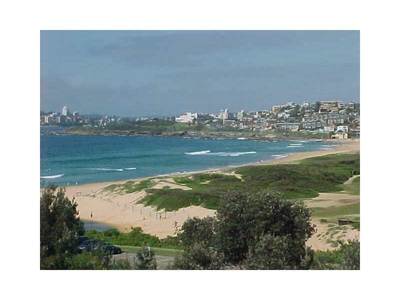 22 Taylor Street, North Curl Curl NSW 2099
