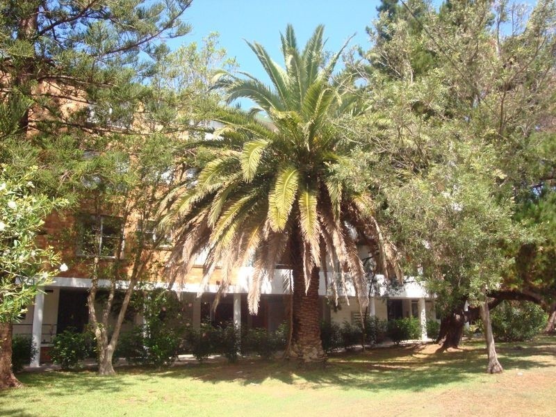 7/168 Pacific Parade, Dee Why NSW 2099