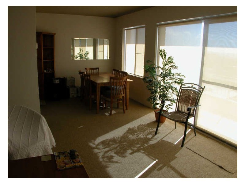 5/37 Delmar Parade, Dee Why NSW 2099