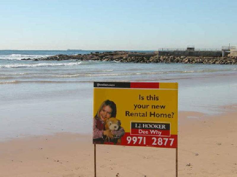 6 Calder Street, North Curl Curl NSW 2099